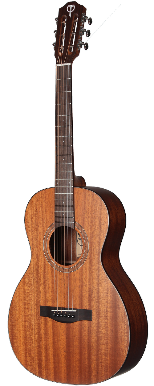 Acoustic Guitar